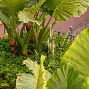 Bed & Breakfast Verdi 254, Barcelona