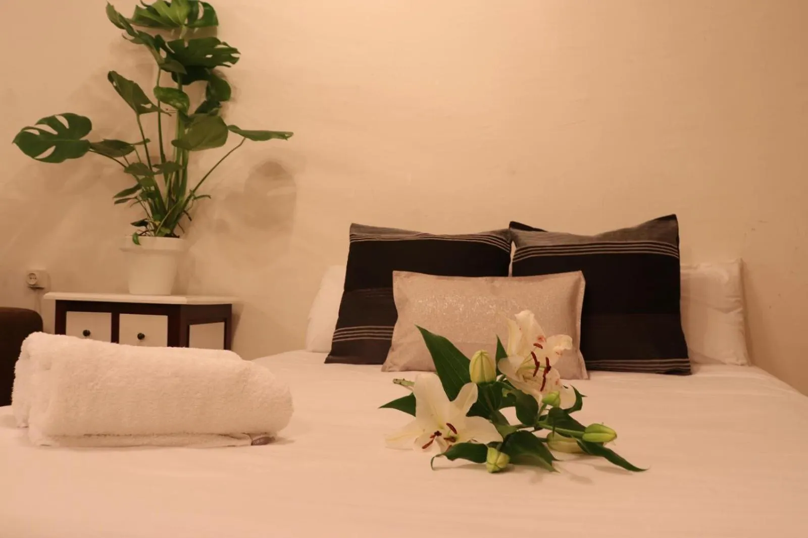 Harmony Rooms Barcelona Bed and breakfast